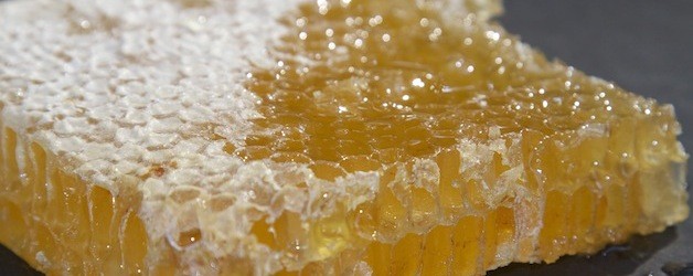 basics365: Honey